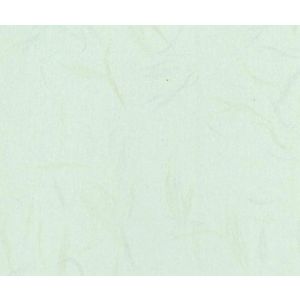 CARTUL PERLADA 80X110CM 250GR 09200502