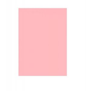 FOAMY PASSOLA A4 ROSADO X10