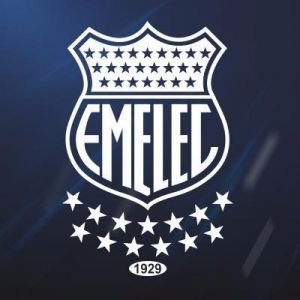 FORRO P/COUCHE EMELEC