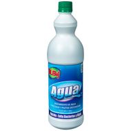 Algicida Blem Proagua 1L